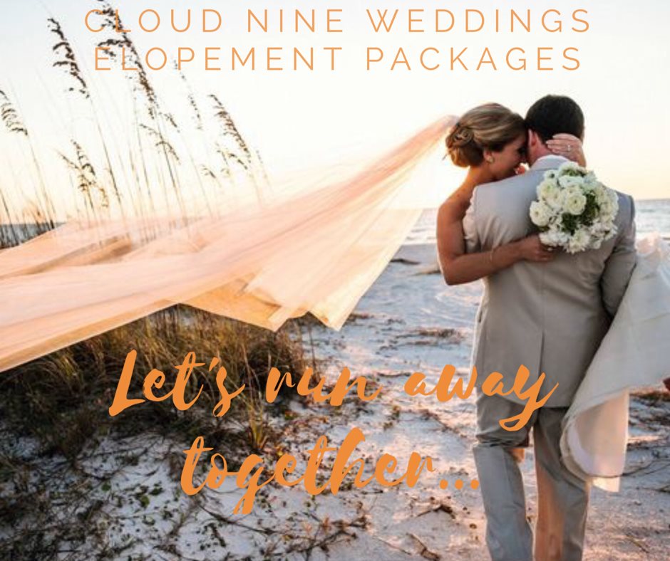 elopement specialist sunshine coast cloud nine weddings