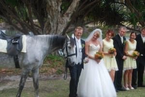 suzanne riley twin waters marriage celebrant